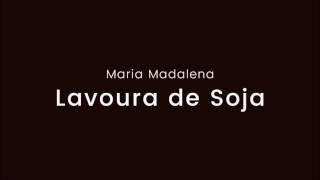 Vídeo de Lavoura De Soja