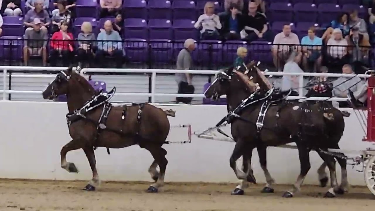 Grandview World Nights