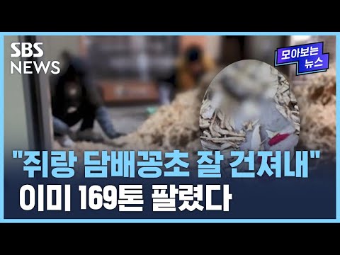 &amp;quot;이렇게 하면 티 안 나요&amp;quot;…몸에 좋다는 &amp;#39;이것&amp;#39;의 비밀 / SBS / 모아보는 뉴스