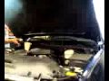 Green Earth Oil Change #2