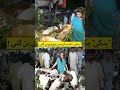 Goat Seller Pinky Goes Viral on Social Media | Discover Pakistan shorts