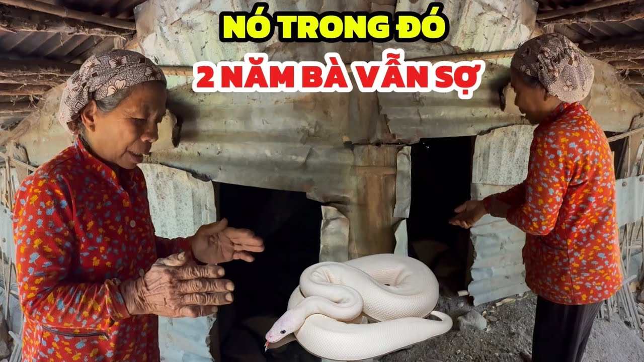 Trời ơi nó nằm trong đó TO LẮM, 2 năm rồi bà vẫn còn sợ, bà không dám tới đó thời gian