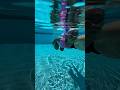 Our two year old swim mermaid 😍 #vlog #fyp #shorts #swimming #vacation #family #class