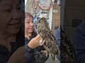 Interacting with Owls, Edinburgh, Scotland, Europamundo from Darlene K. 🦉