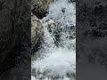Natural Spring water #nature #springseason #relaxingsound# relaxing music