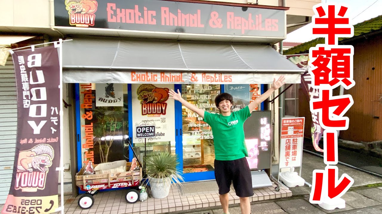鹿児島県の爬虫類ショップに半年ぶりに遊びに行くと...まもなく開催される記念セールがヤバすぎて知らなきゃ損ってこういうことだと思いました