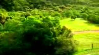 Ghost car remix