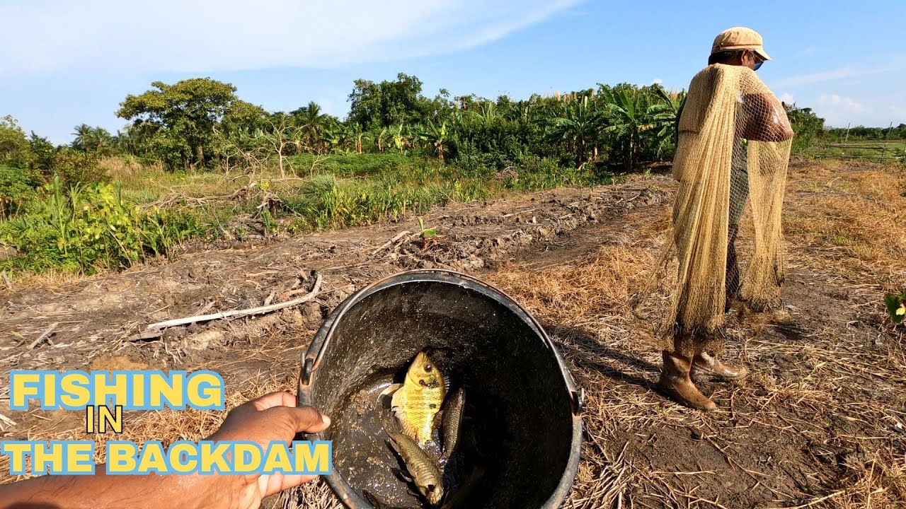 Ловим сладководную рыбу в ТУЩЕНЕ БАКДАМЕ #рыбалка #realniceguyana