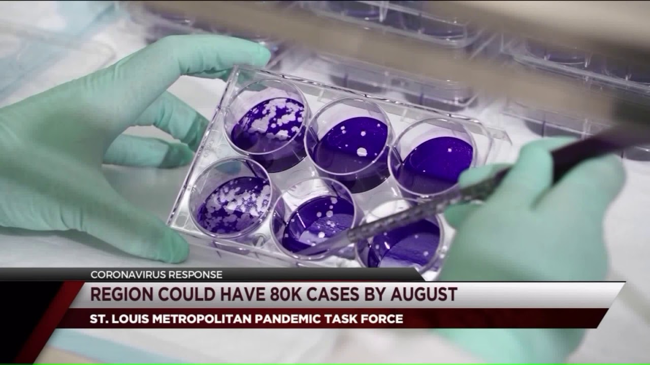 St. Louis Pandemic Task Force says pandemic is far from over here