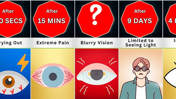 Timeline: What If You Stopped Blinking