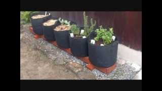 The Rain Gutter Grow System Truly Goes International! Check It Out!