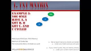 PlanProMatrix Softlaunching Presentation