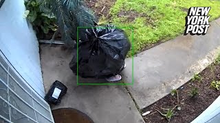 Porch pirate disguised as trash bag caught on video stealing packages from home