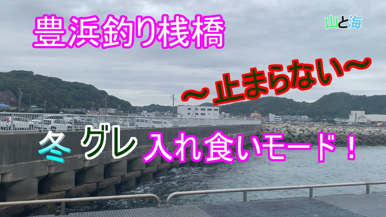 『豊浜釣り桟橋』投げれば釣れる！？　メジナの連発が止まらない一日！　11月中旬、愛知県南知多町、知多半島