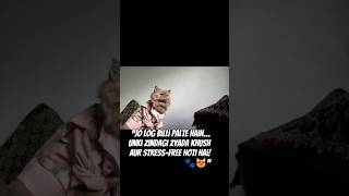 “Billi Palne Ke 7 Amazing Faiday 😻 |Cat Lovers Must Watch!”#catbehavior#catfacts#benifits#viralvideo