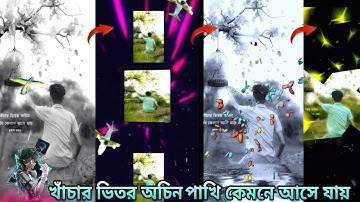 খাঁচার ভিতর অচিন পাখি কেমনে আসে যায় // ALIGHT MOTION BENGOLI XML FILE // EDIT BY-PP XML KING 👑