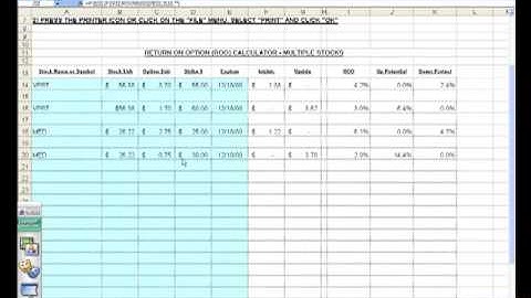 Calculating Option Returns Using the Ellman Calculator