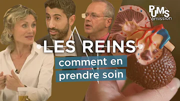 Quels sont les symptômes d'un mauvais fonctionnement des reins ?