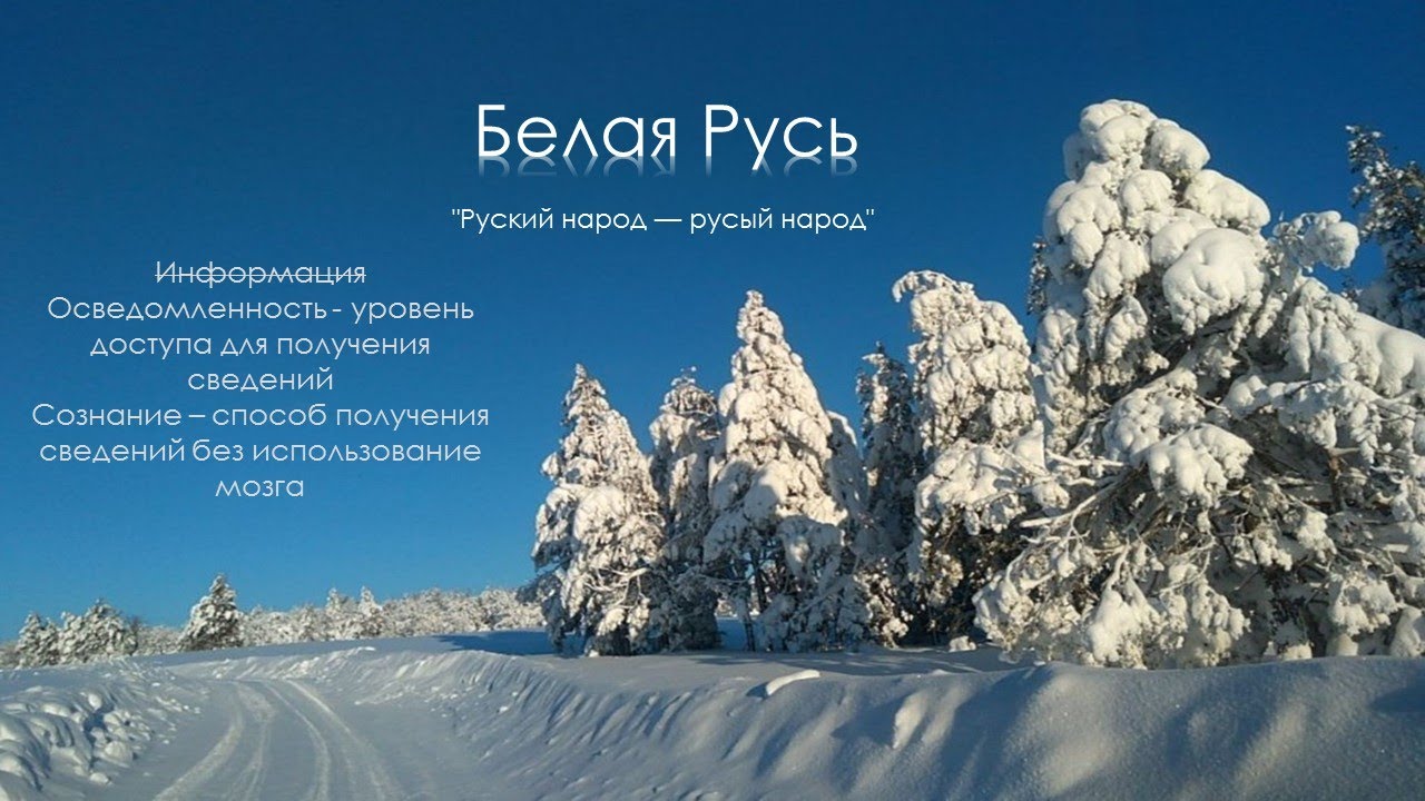 Нии тепляковедения дзен им