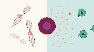 TGFβ drives immune evasion in genetically reconstituted colon cancer metastasis