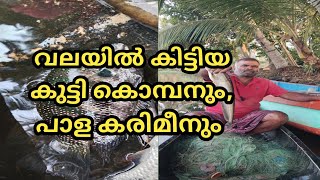വലയടട കടടയ കടട കമപൻ...