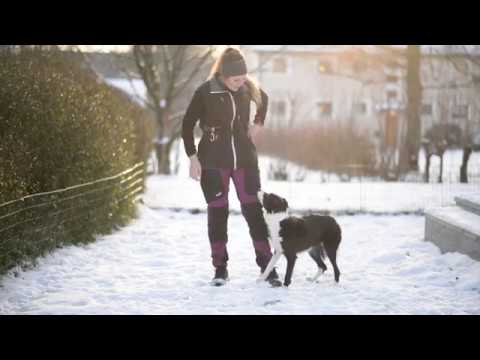 Video: Hvordan Snute Hunden Din