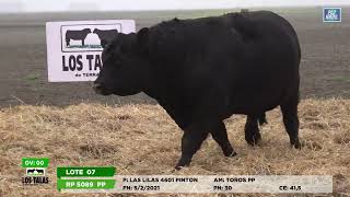 Full Los Talas Lote 7 5089 Update