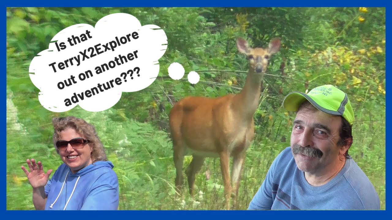 UNFORGETTABLE ESCAPE: Exploring Wisconsin's Beautiful Buckhorn State Park