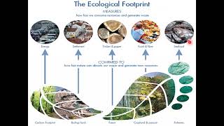 13 BMFB 3323 Materials and the Environment