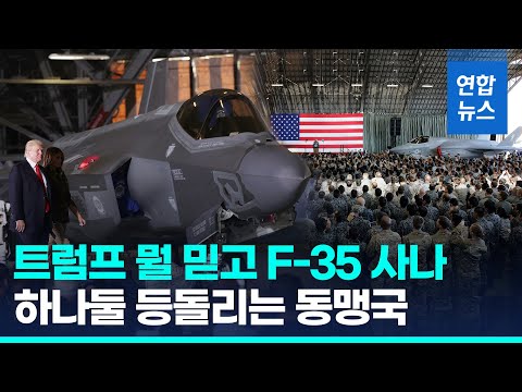 동맹국 홀대에 &amp;#39;킬스위치&amp;#39; 의심…&amp;quot;<strong>F</strong>-<strong>35</strong> &amp;#39;새로운 테슬라&amp;#39;&amp;quot;/ 연합뉴스 (Yonhapnews)