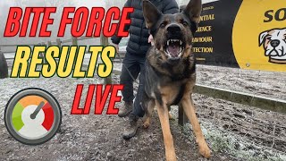 I Built a Bite Sleeve That Measures Dog Bite Force, Here's What Happened!