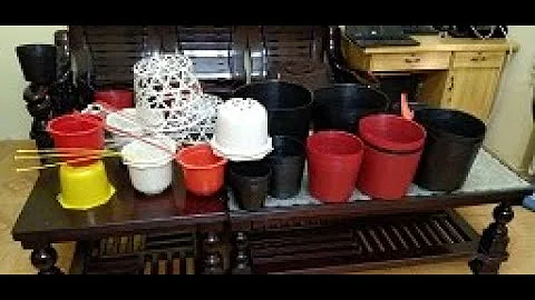 Chậu nhựa trồng cây