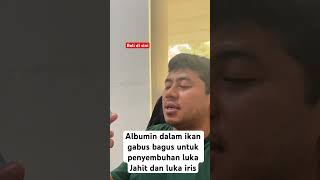 Manfaat Ikan gabus untuk luka
