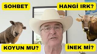 Pazar Sohbetine Ne Dersiniz? Koyun mu? Keçi mi? İnek mi? Hangi Irk?