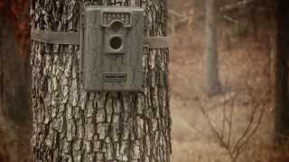 Moultrie A5 Game Spy Low-Glow Infrared Digital Trail Camera (5 MP)
