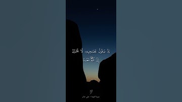 سورة التوبة  - علي جابر