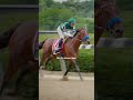 Did he stutter?🏀In ‘22,Flightline ruled the racing world with dominance not seen since Secretariat.