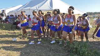 Umemulo Songs And Dance Nomusa 03
