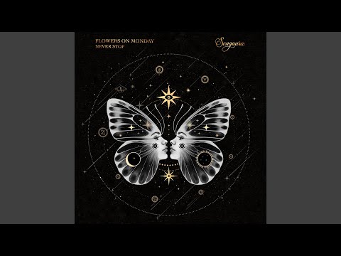 Never Stop (Extended Mix)