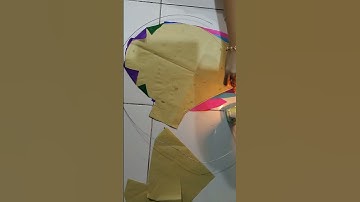 DIY Book Character costume . Ibong Adarna