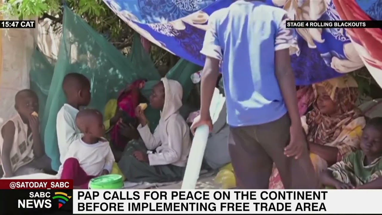 PAP calls for peace on the continent before implementing free trade area