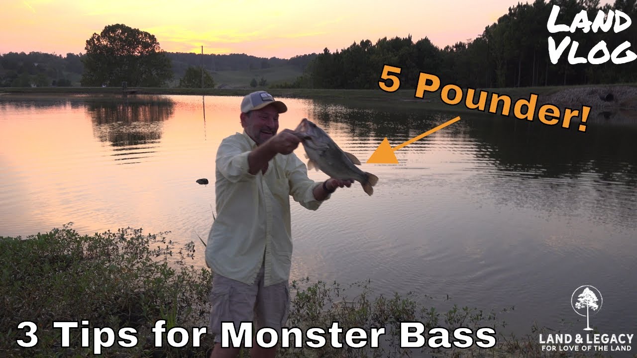 Fishing Pond/Lake Management 3 Tips for Trophy Bass YouTube
