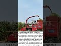 Powerful Corn Forage Harvester in Action