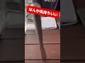 机の隙間にナイフをぶっ刺すと…?#shorts