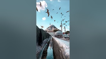 سورة الإسراء {الآية 59} بصوت الشيخ ياسر الدوسري ❤️❤️