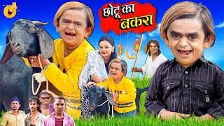 CHOTU DADA KA BAKRA | छोटू दादा का बकरा |  Khandesh Hindi Comedy | CHOTU DADA NEW COMEDY VIDEOS