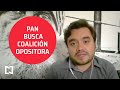 Sin BOA, PAN sí busca coalición opositora - Punto y Contrapunto