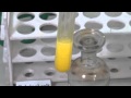 Phosphate Ion Tests Quiz