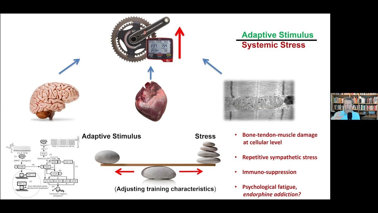 Stephen Seiler: Endurance Performance Testing and Monitoring – Past, Present, and Future