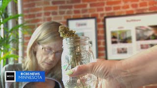 Minnesotans learning how to grow their own weed at home